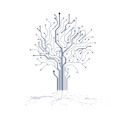 sanavwebsite.pages.dev favicon